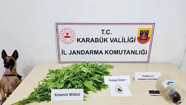 Jandarmadan Uyuşturucu Operasyonu