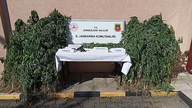 Eş Zamanlı Uyuşturucu Operasyonunda 3 Tutuklama