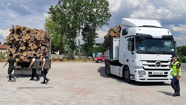 Kaçak Orman Emvaline Geçit Yok