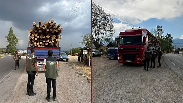 Kaçak Orman Emvaline Geçit Yok