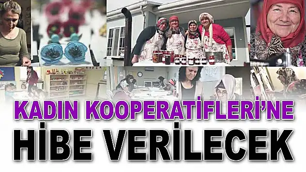 Kadın Kooperatifleri'ne Hibe Verilecek