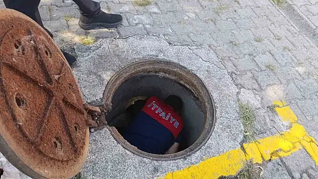 Kanalizasyon borusuna sıkışan yavru kedi kurtarıldı