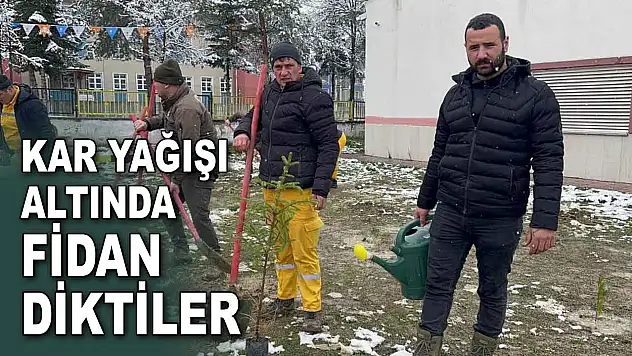 Kar Yağışı Altında Fidan Diktiler
