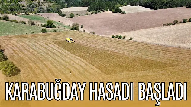 Karabuğday Hasadı Başladı