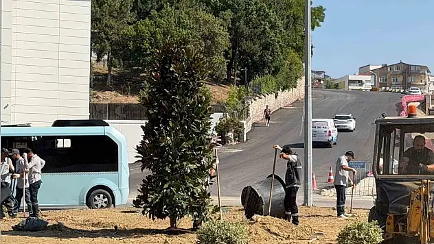 Karabük'te 200 ağaç ve süs bitkisi toprakla buluşuyor