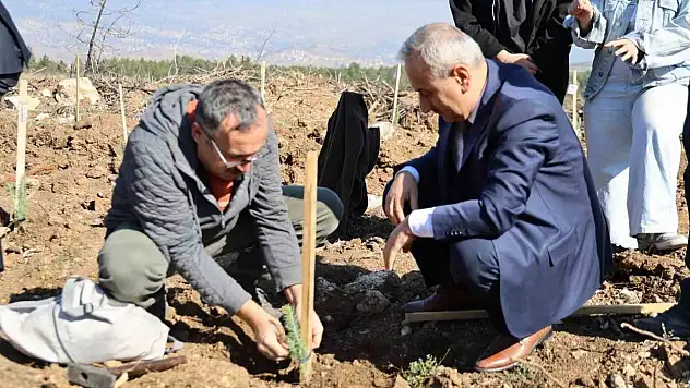 Karabük'te 250 fidan toprakla buluştu