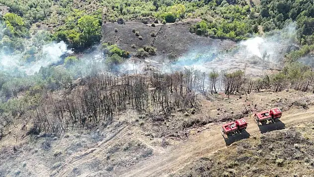 Karabük'te anız yangını korkuttu: Bir samanlık yandı