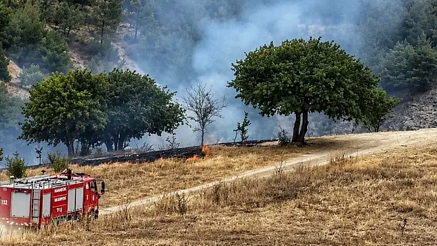 Karabük'te anız yangını ormanlık alana sıçramadan söndürüldü