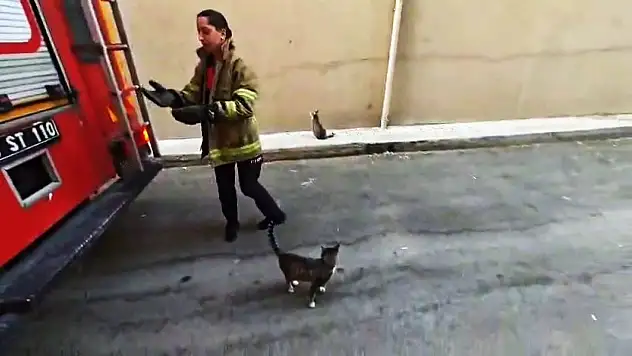 Karabük'te Mahsur Kalan Kedi Kurtarıldı