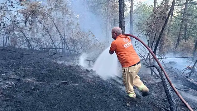 Karabük'te çıkan örtü yangını kontrol altına alındı