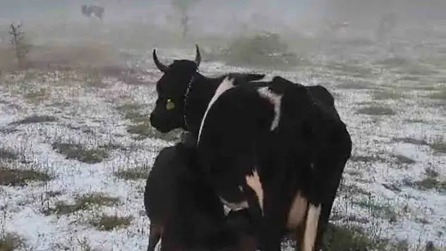 Karabük'te dolu yağışı etkili oldu
