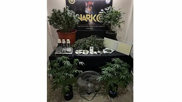 Karabük'te Hint keneviri operasyanu