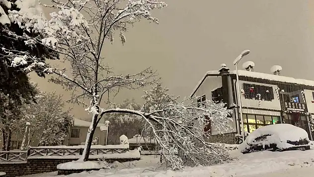 Karabük'te Çok Sayıda Ağacın Dalların Kırıldı