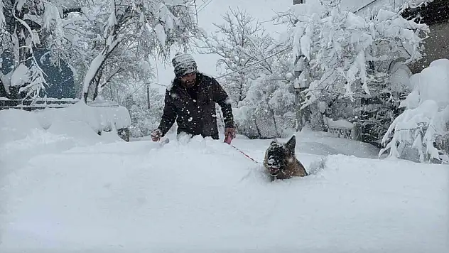 Karabük'te Kar Esareti Devam Ediyor