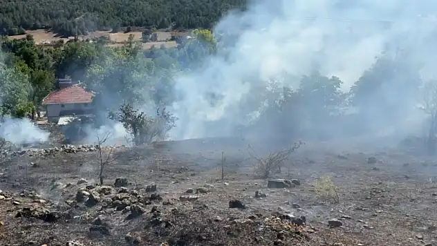 Karabük'te korkutan anız yangını büyümeden söndürüldü