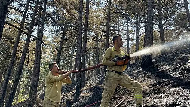 Karabük'te Orman Yangınında 7 Hektar Alan Zarar Gördü