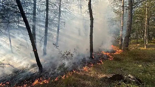 Karabük'te örtü yangını büyümeden söndürüldü