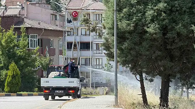 Karabük'te sinek ve haşereyle mücadele çalışmaları sürüyor