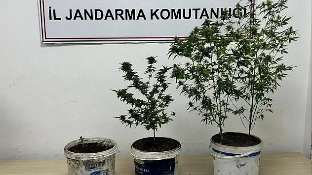 Karabük'te Uyuşturucu Operasyonu