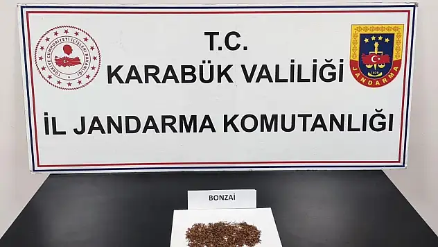 Karabük'te Uyuşturucu Operasyonu: 1 Gözaltı