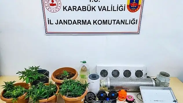 Karabük'te uyuşturucu operasyonu: Skunk serası ortaya çıkarıldı