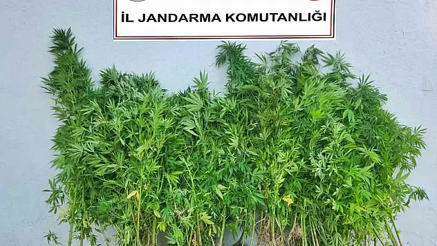 Karabük'te uyuşturucu operasyonu: 6 şüpheli adliyeye sevk edildi
