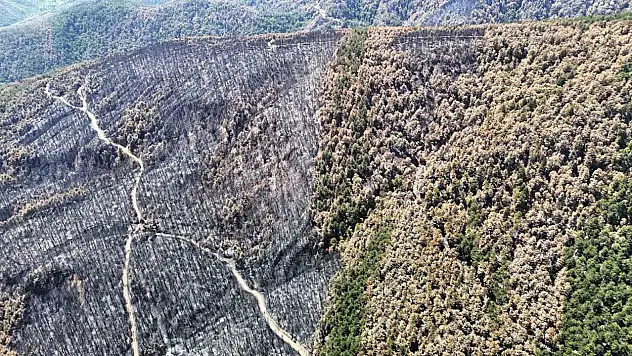 Karabük'te Yangın Sonrası Ormanlar Hazan Rengine Büründü