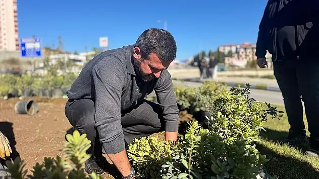 Karabük'te yeşil alanlar 18 binden fazla fidanla güçleniyor