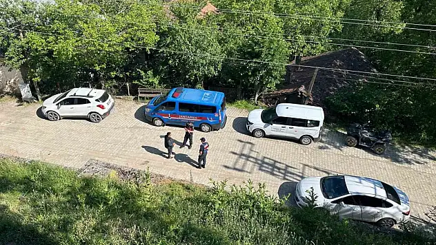 Karabük'teki Köpek Ölümleriyle İlgili İnceleme Başlatıldı