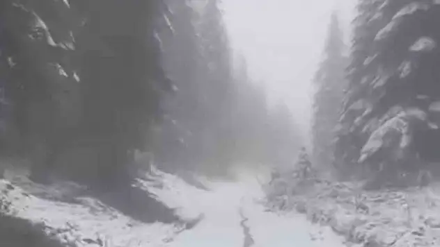 Karabük'ün Yüksek Kesimlerinde Kar Yağışı Devam Ediyor