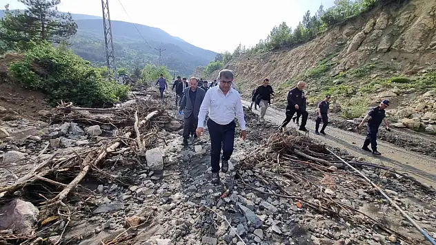 Karabük Valisi Gürel köyleri inceledi