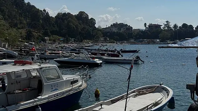 Karadeniz'de Bu Yıl Hamsi Beklentisi Büyük