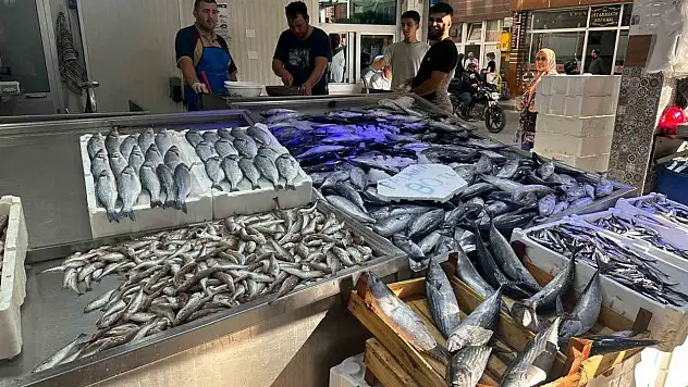 Palamutun Tanesi 80 Liraya Düştü