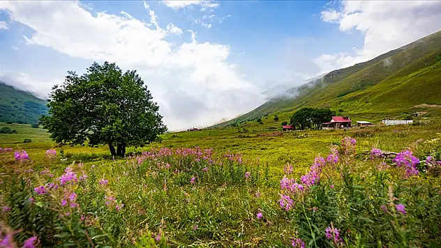 Karadeniz'e Uygun Fiyatlı Seyahat İlgi Çekiyor: Kastamonu'da Öne Çıktı