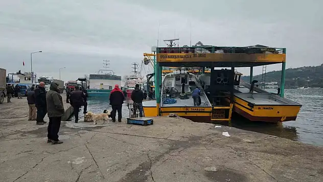Karadeniz Ereğli Limanı'nda Hamsi Bareketi