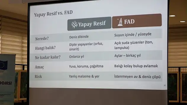 Karadeniz'in deniz çayırları haritalandı