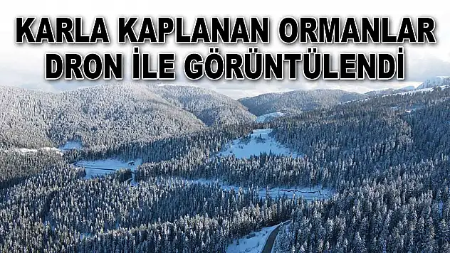 Karla Kaplanan Ormanlar Dron ile Görüntülendi