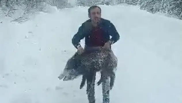 Domuzu Elleriyle Yakalayan Adam Konuştu