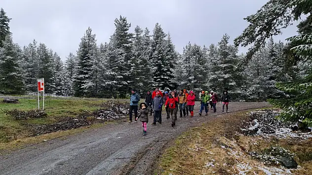 Kastamonu Araç'ta bahar karı