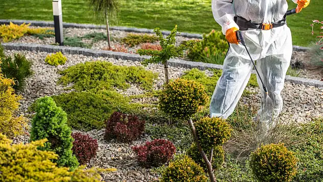 Kastamonu Belediyesi, İlaçlama Rotalarını Açıkladı