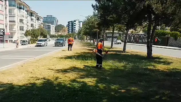 Kastamonu Belediyesi'nden Bakım Çalışması