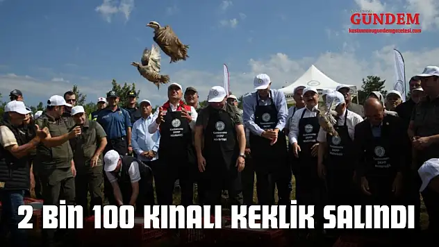 Kastamonu'da 2 Bin 100 Kınalı Keklik Salındı