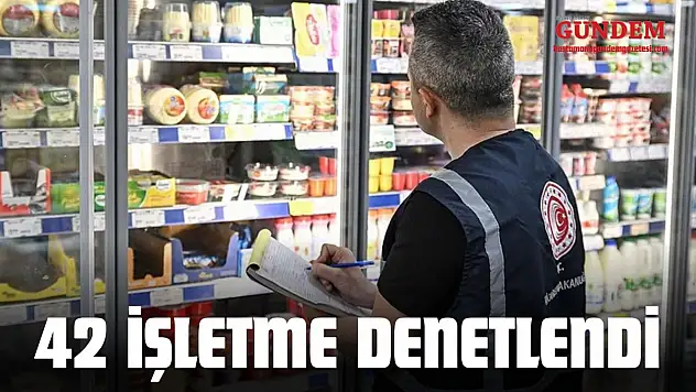 Kastamonu'da 42 İşletme Denetlendi