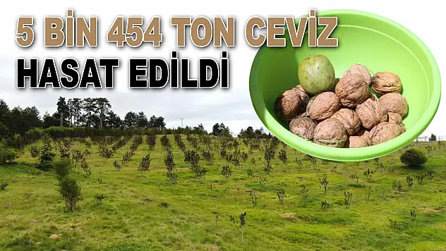 Kastamonu'da 5 Bin 454 Ton Ceviz Hasat Edildi