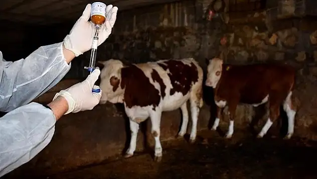 Kastamonu'da 56 Köy ve Mahalle Karantina Altında