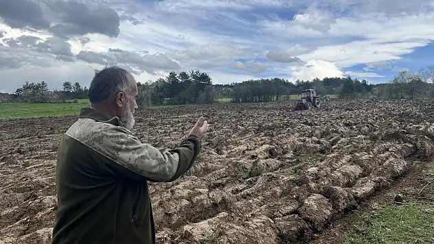 Kastamonu'da 70 yıldır kullanılmayan tarla yeşerecek