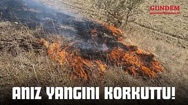 Kastamonu'da Anız Yangını Korkuttu!
