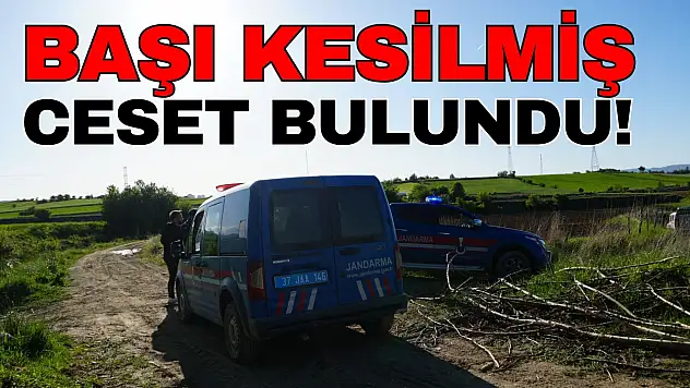 Kastamonu'da Başı Kesilmiş Ceset Bulundu