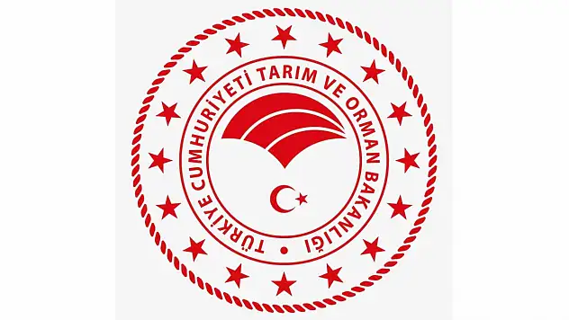 Kastamonu'da Bilgisayar Programcısı Alınacak