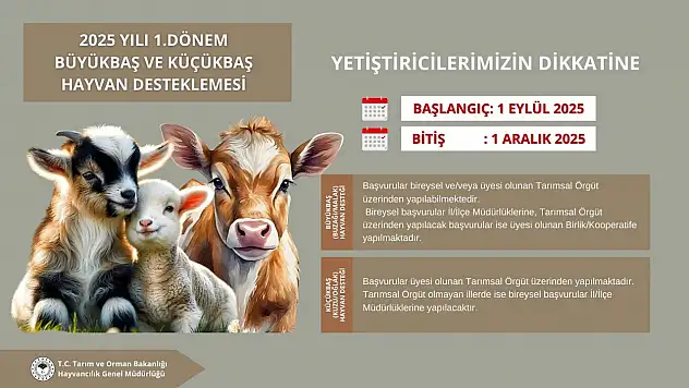 Kastamonu'da Büyükbaş ve Küçükbaş Hayvan Destekleme Başvuruları Başlıyor